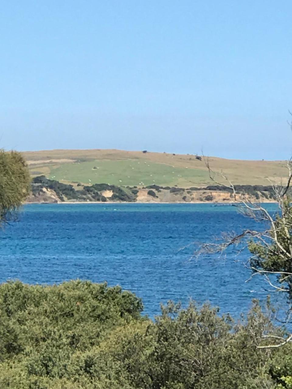 Bunya By The Sea Cape Woolamai Exterior foto